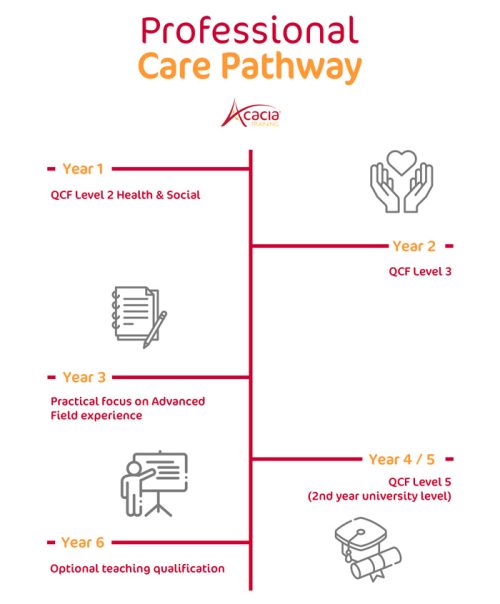 professional care career pathway