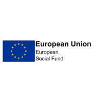 European social fund